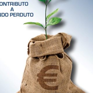 contributo a fondo perduto