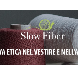 slow fiber