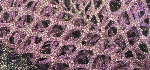 COLLEZIONE ILUNA GROUP FW 26-27